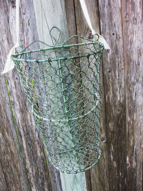 Vintage Chicken Wire Hanging Wall Vase/Basket // Sage Chicken