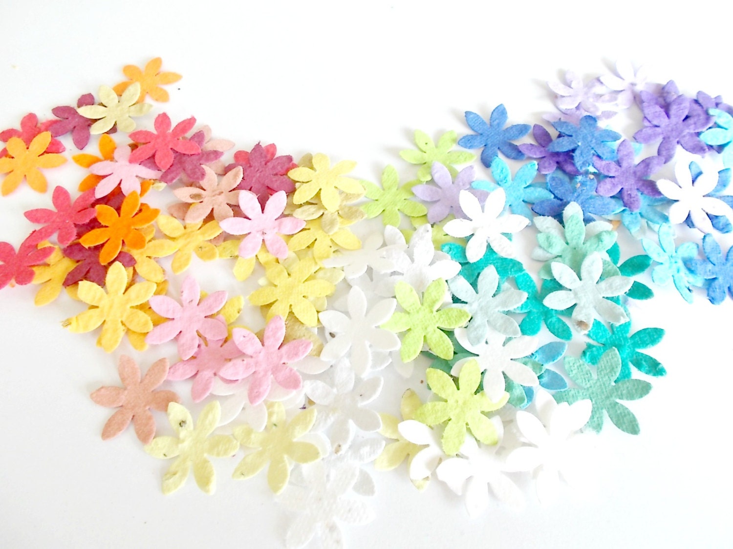 50 Daisy Confetti Made with Plantable Paper - Plant and Grow Wildflowers