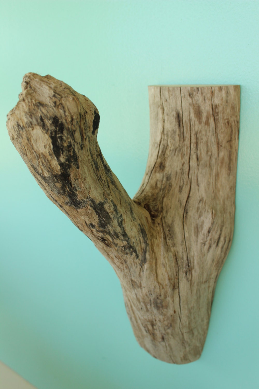 Large Driftwood Wall Hook Natural Driftwood Hook Driftwood