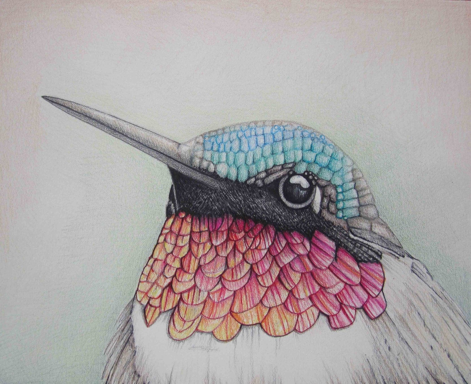 Pencil Art Work Close Up Hummingbird Mixed Media Original