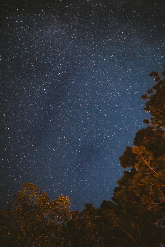 Items similar to Landscape Photography, Stars Through the Trees on Etsy