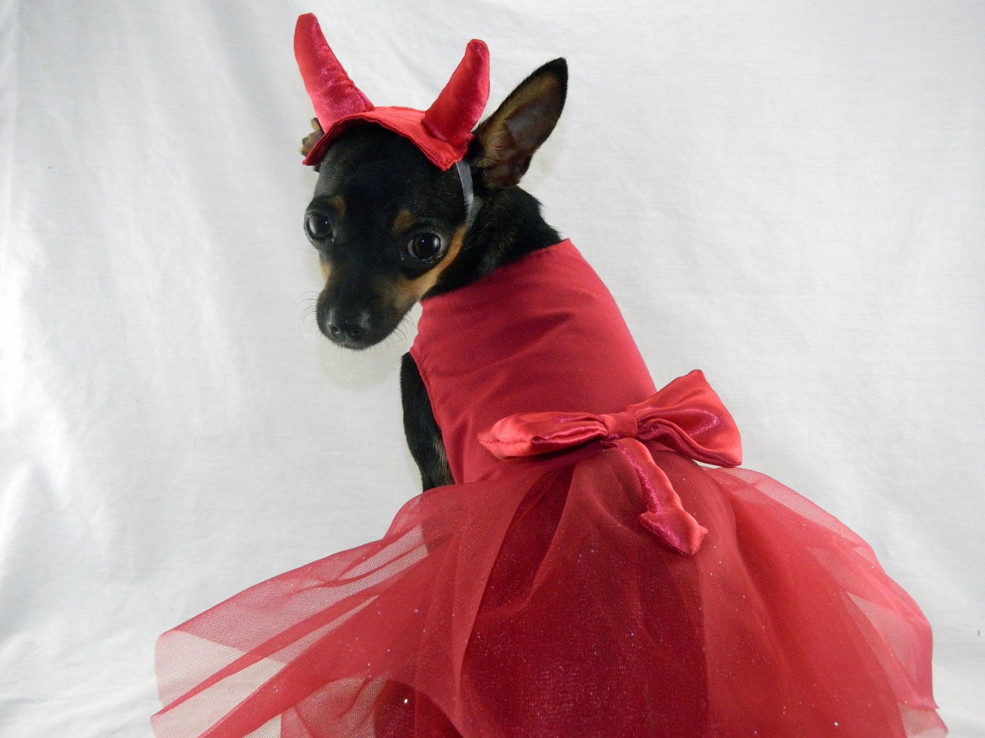 Xxs Dog Halloween Costumes
 Little devil dog costume dress with horn headband XXS M