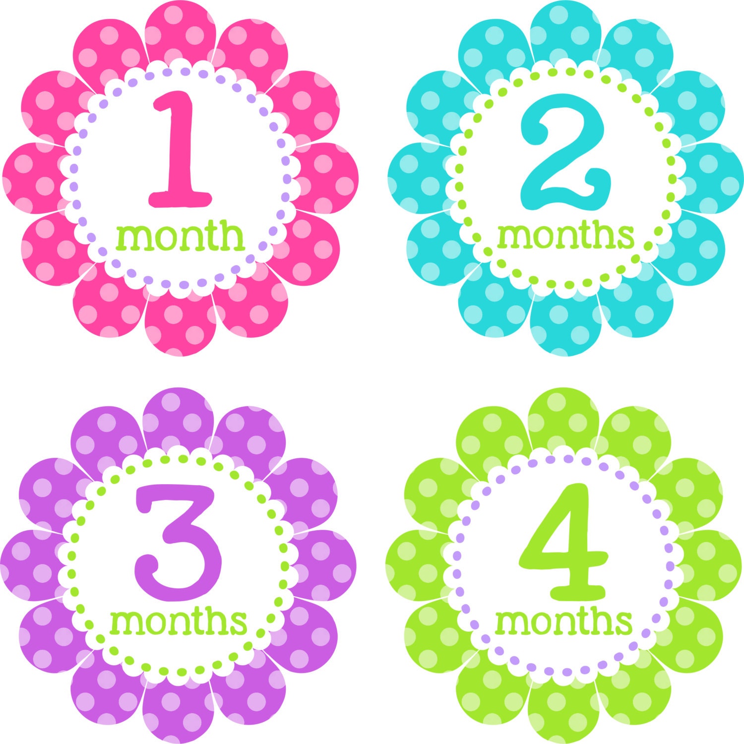 baby month stickers baby monthly stickers girl monthly shirt