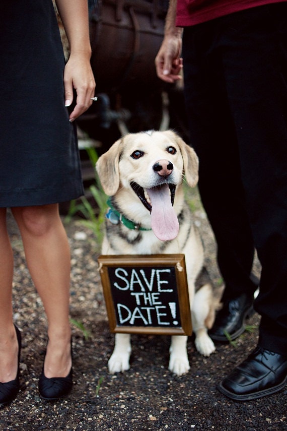 Save the Date Chalkboard Sign Dog
