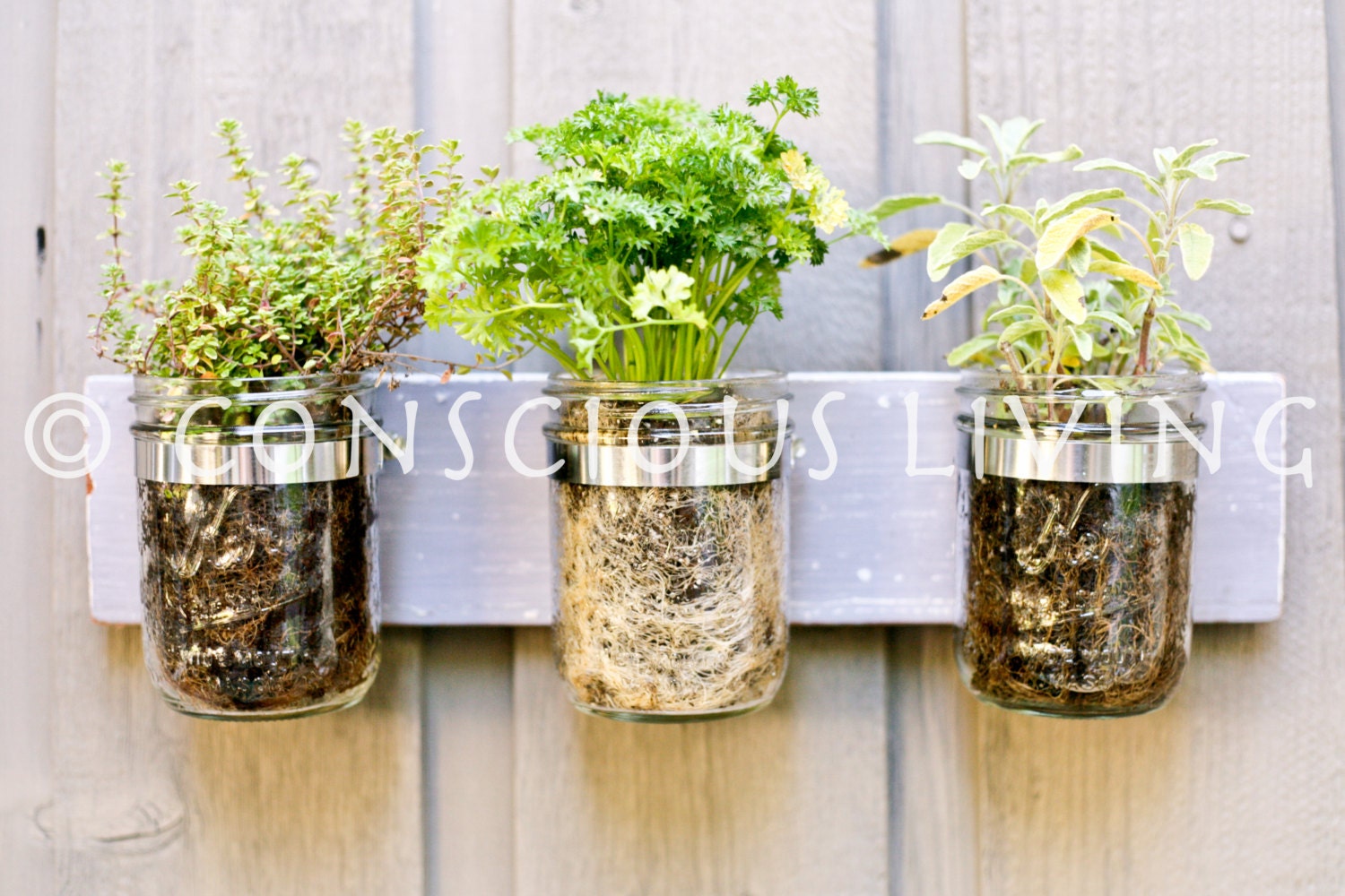 Mason Jar Wall by Conscious Living