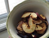 Dried Fruit Dog Treats- Fiji Apples and Bananas! Gluten Free. Grain Free.