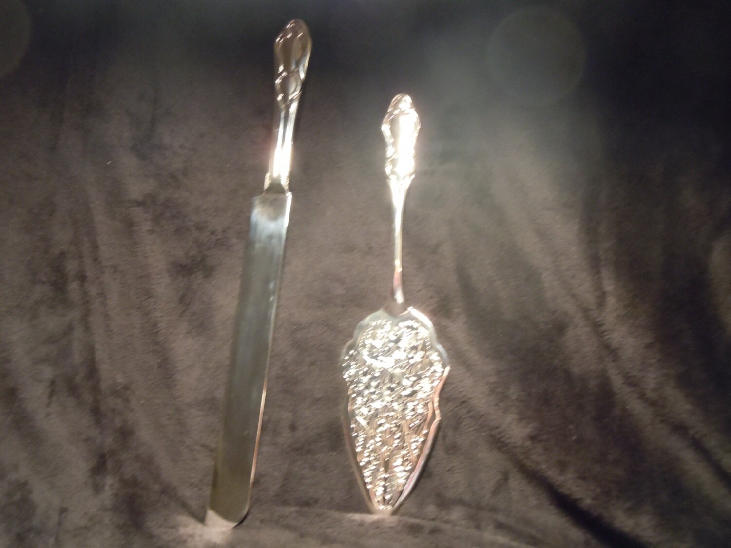 Silver Treasures by Godinger Silver Plated Cake Server & Knife