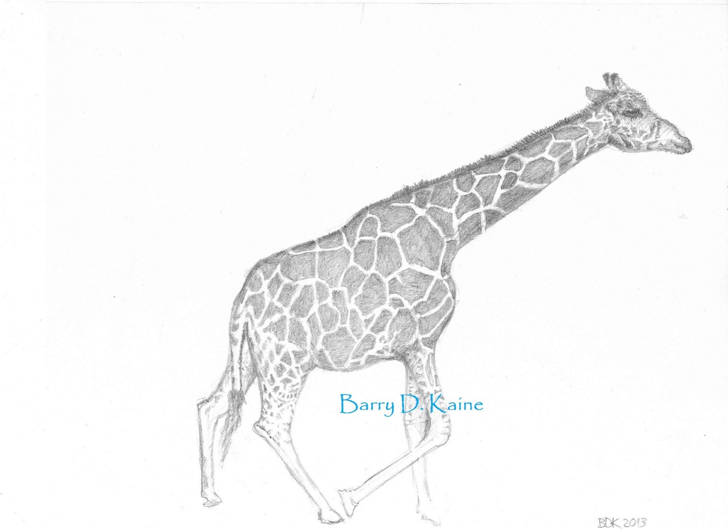 great zoom with giraffa disegni per bambini