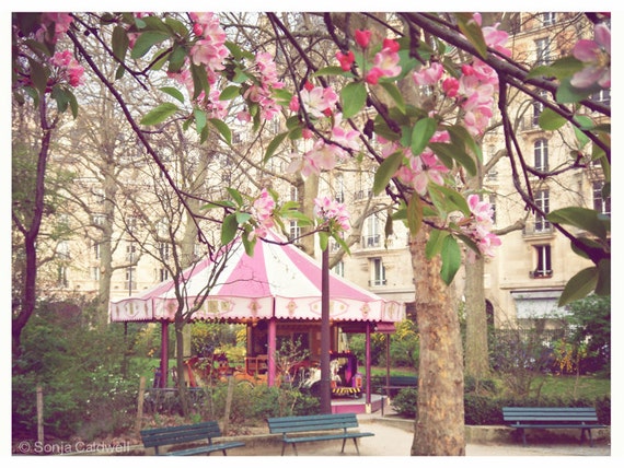 Pink Carousel Photo with Apple Blossoms - Paris photography, nursery decor, wall art, 9x12  Original Fine Art Photography