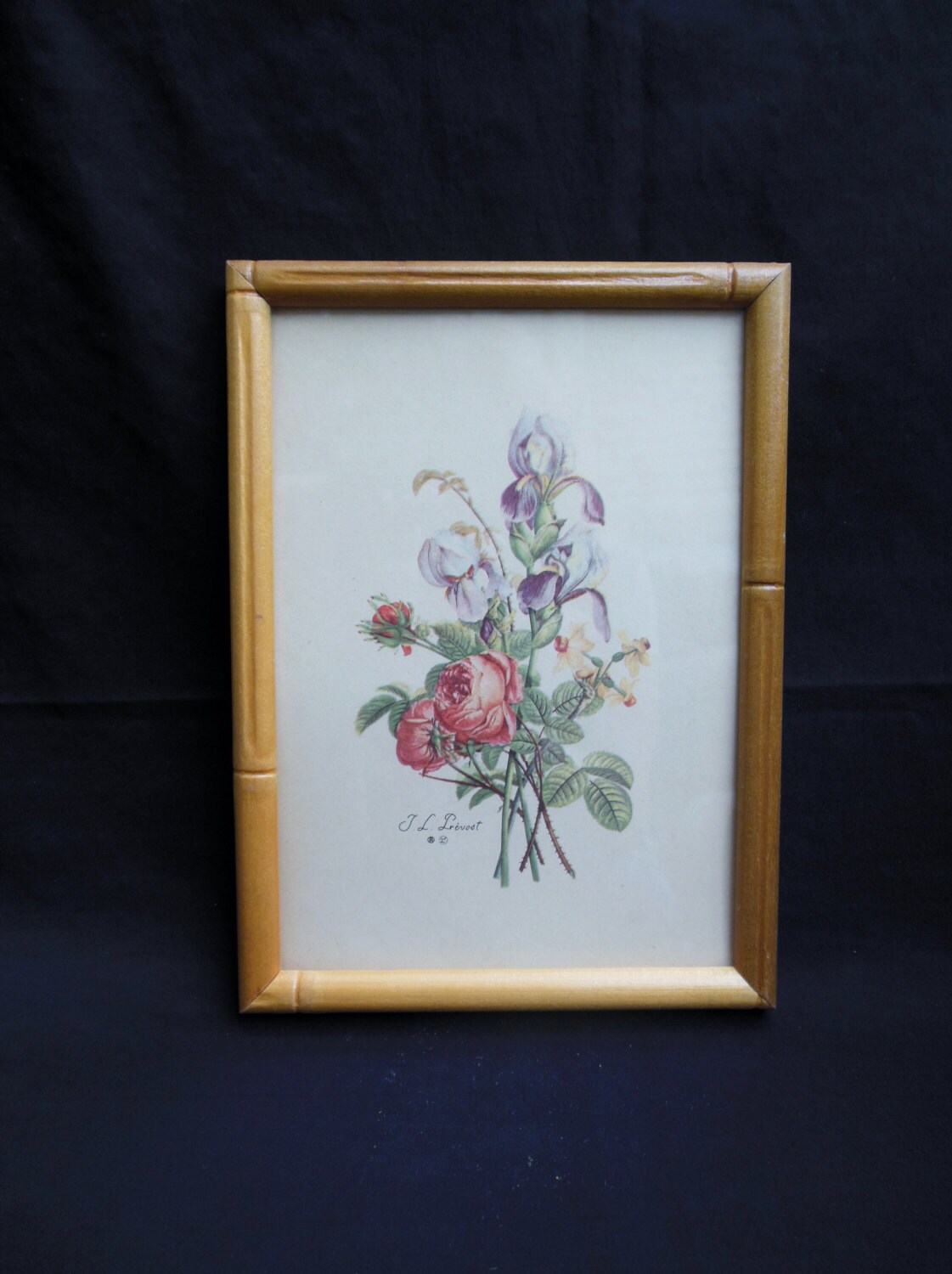 Framed Floral Print by J. L. Prevost Little Picture with Roses