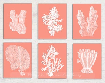 Coral Wall Decor