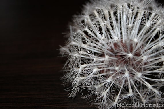 dandelion handmade brooch silk dandelion whimsical flower dandelion handmade brooch silk dandelion whimsical flower