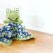 frog security blanket