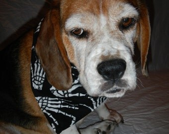 Gothic Halloween Dog Bandana, black with white skeleton hands