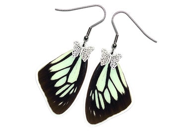 Handmade Real Butterfly Wing Earrings (Pareronia Boabera Forewing - E202)