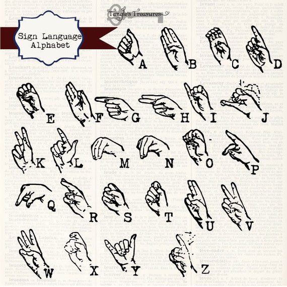 pdf chromosomes today proceedings of the ninth international chromosome conference held in marseille france 1821