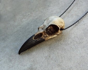 Raven Skull Necklace (2.75" Small) Resin Cast Skull (Aged Finish Painted Beak) Crow Goth Bird Skull Gothic Gift