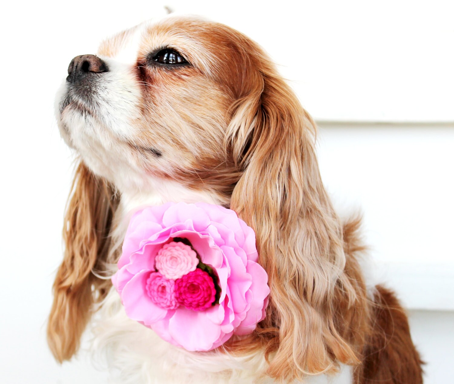 Dog Collar Flower Add On / Pink Rose Felt Triple by daydogdesigns