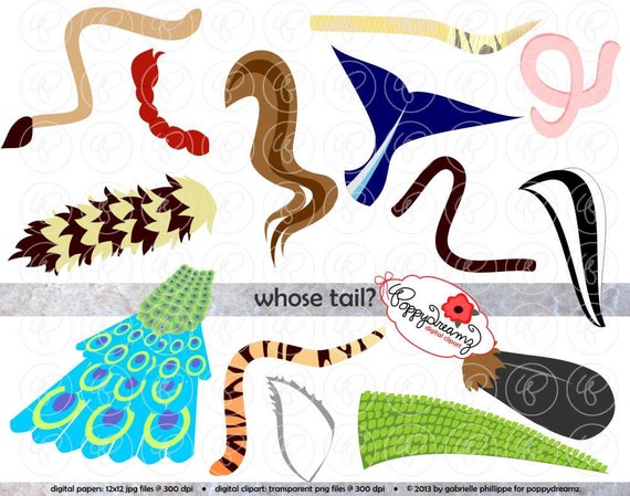 tiger tail clipart - photo #36