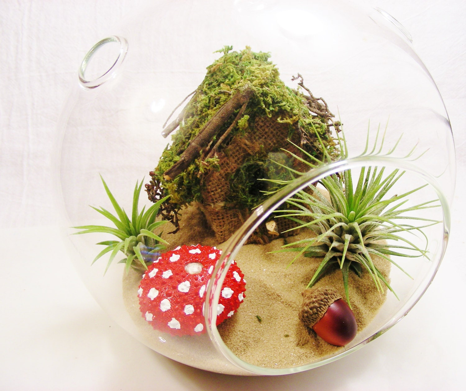 Faerie Garden Terrarium Large Glass Globe Terrarium Kit w 2