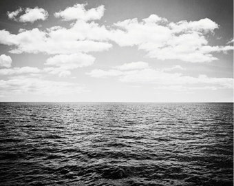 Black And White Photography Wall Art black and white photography floral photography flower Black And White Photography Wall Art black and white photography floral photography flower
