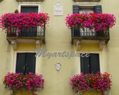 Venice street print, Fine Art Photography, Flowers balcony in Venice,  romantic Venice architecture, 8 x 12''