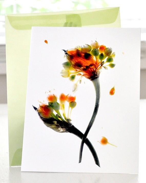 Floral Note Card - Wild Scapes - Free Shipping in US