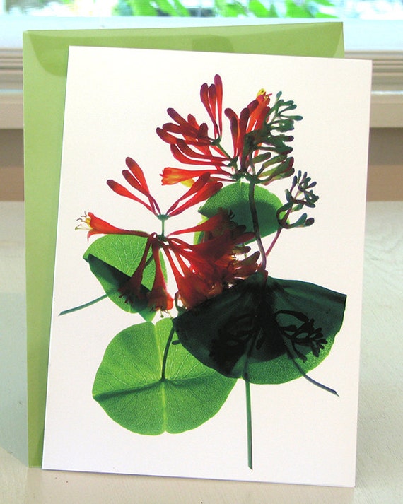 Artist Floral Note Card--Honeysuckle--Thank You Celebration Wedding Thinking of You
