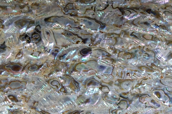 green abalone shell coated adhesive veneer sheet mop overlay inlay luthier nacre craft from green abalone shell coated adhesive veneer sheet mop overlay inlay luthier nacre craft from