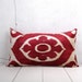 16 x 26 Decorative Pillow Accent Pillow Throw Pillow Ikat Pillow Cover Silk Pillow Velvet Ikat Cushion - 04158-116