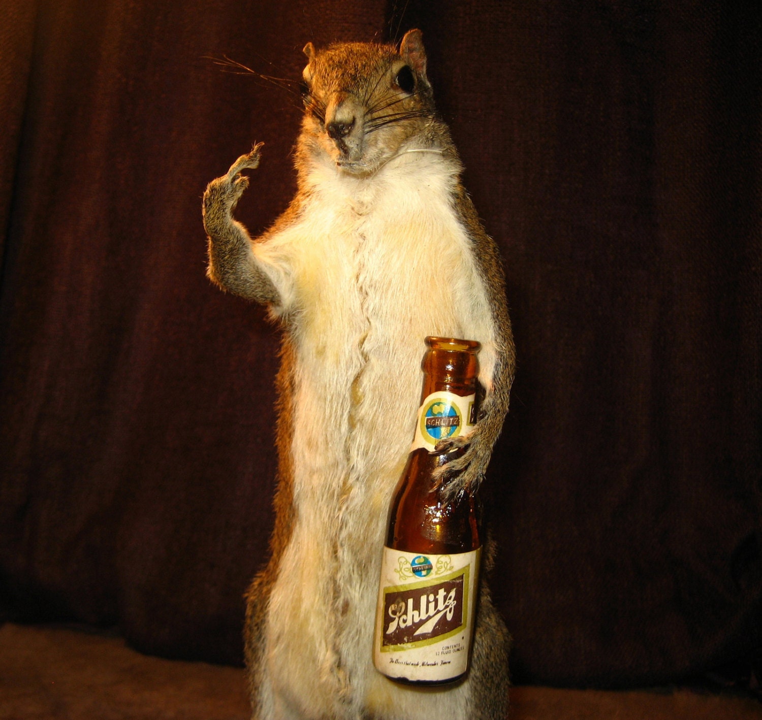 taxidermy stuffed squirrel