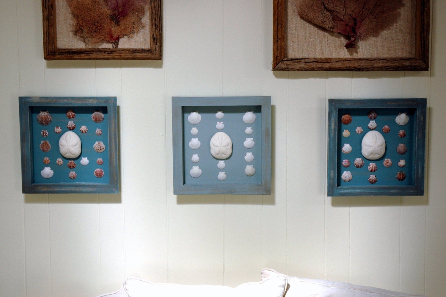 Sea Shell Shadow Boxes