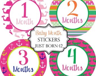Baby Month Sticker Girls Preppy Whale Monthly Baby Stickers Make Great Baby Shower Gifts..Bonus Just Born Sticker Included