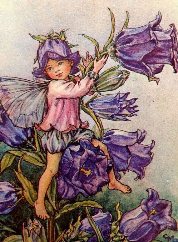 Canterbury Bell Fairy Picture Vintage Bookplate Flower