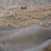 Vintage Baby Her Majesty Panties Little Girl Lace Ruffled Blue Nylon Bloomers Pink Rose