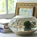 LAST ONE LEFT , Discontunied After Sold - Under Lake View Aqua Terrarium - Marimo Ball ,Moss Ball, Aquarium , Sea Fan, Betta Fish