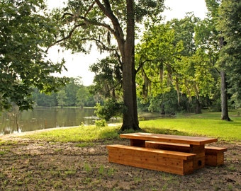 Rowan Outdoor Table and Benches, Modern - Cedar (8 Seater)