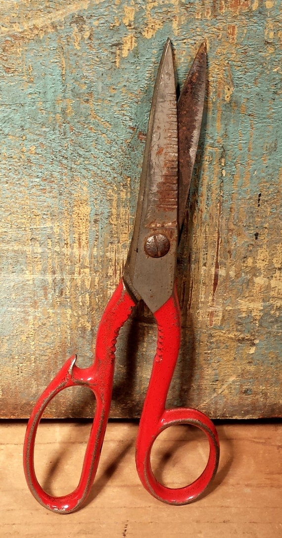 Vintage Kitchen Shears Scissors with Bottle Opener