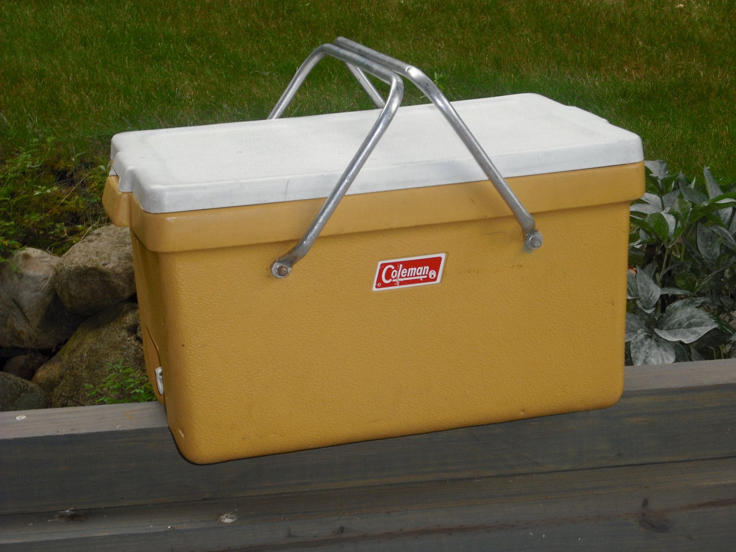 coleman coolers for sale