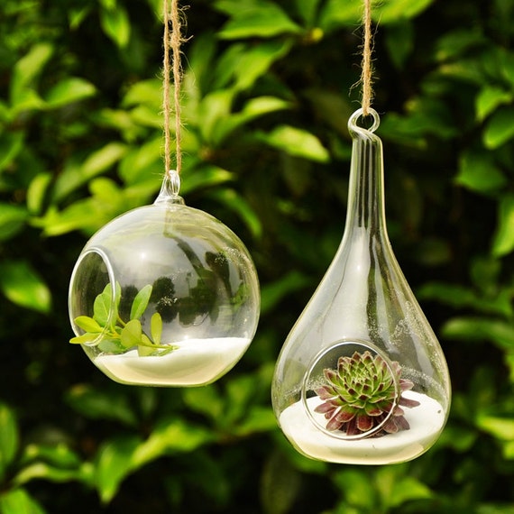 Fashion transparent hanging glass vase creative home decoration Succulent Terrarium Kit Housewarming Green Gift