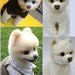 plush replica of your pet