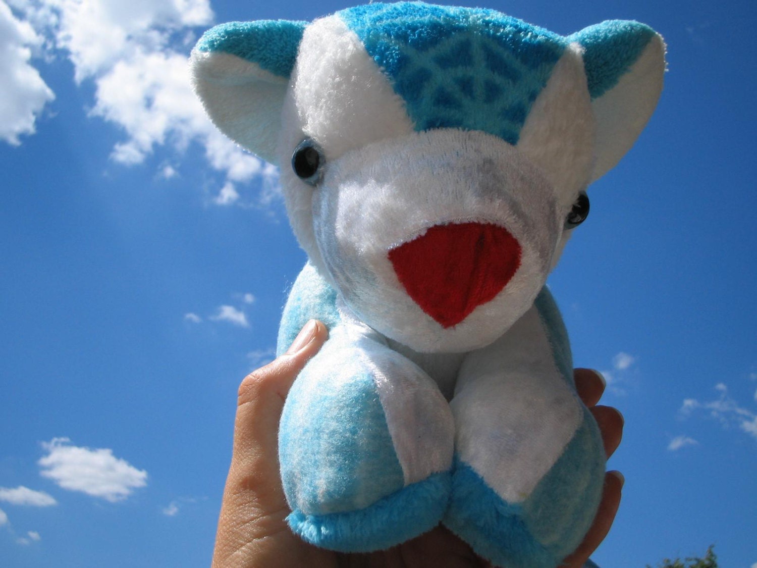 teddy bear sky blue colour