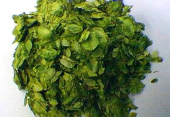 Halletau Hops 100gms Dried Cones By TheHomeBrewShop On Etsy