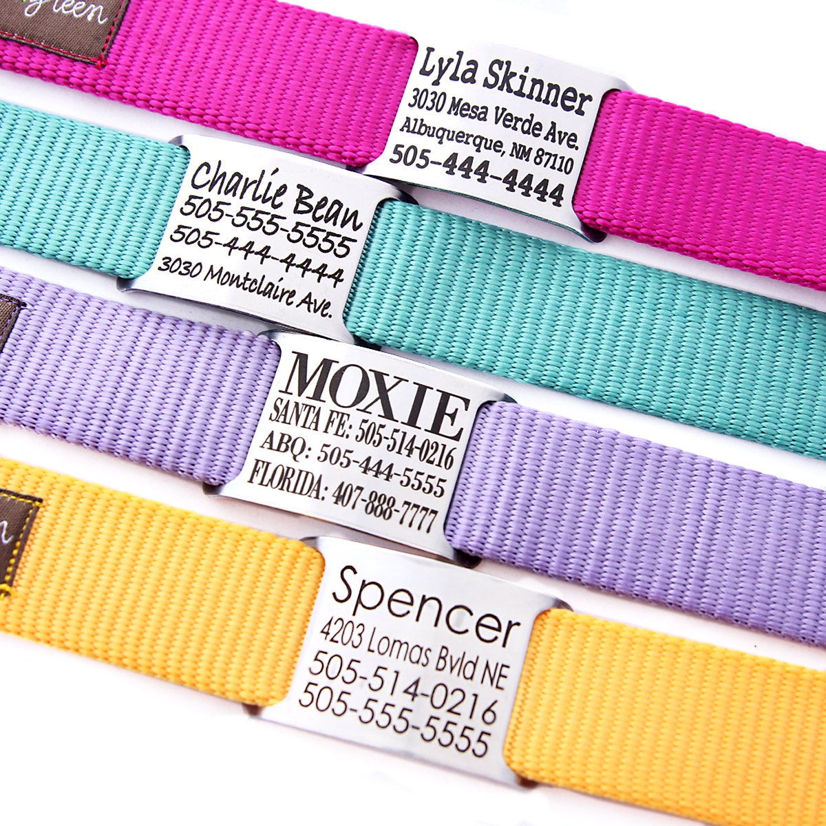 collars with name plate personalized name plate collar engraved with 18 webbing collars with name plate personalized name plate collar engraved with 18 webbing