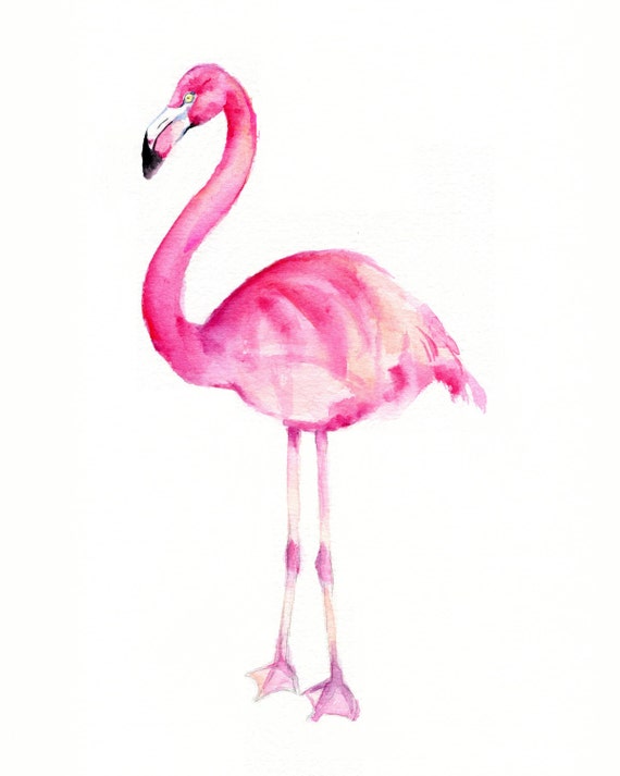 Pink Flamingo Watercolor Print 5 x 7 by Marysflowergarden on Etsy