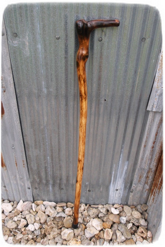 Items similar to Walking Stick Cane, sumac wood, root handle, One of a ...