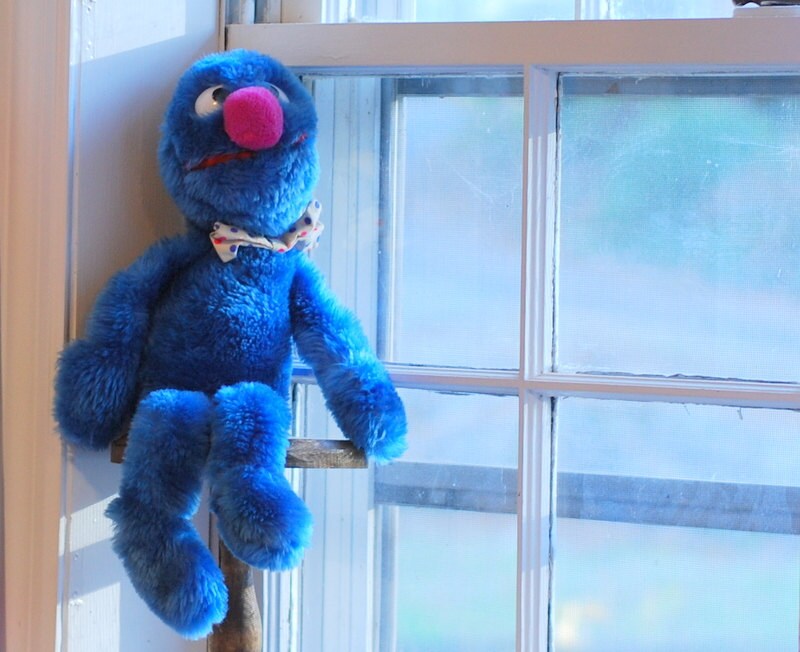 grover doll amazon