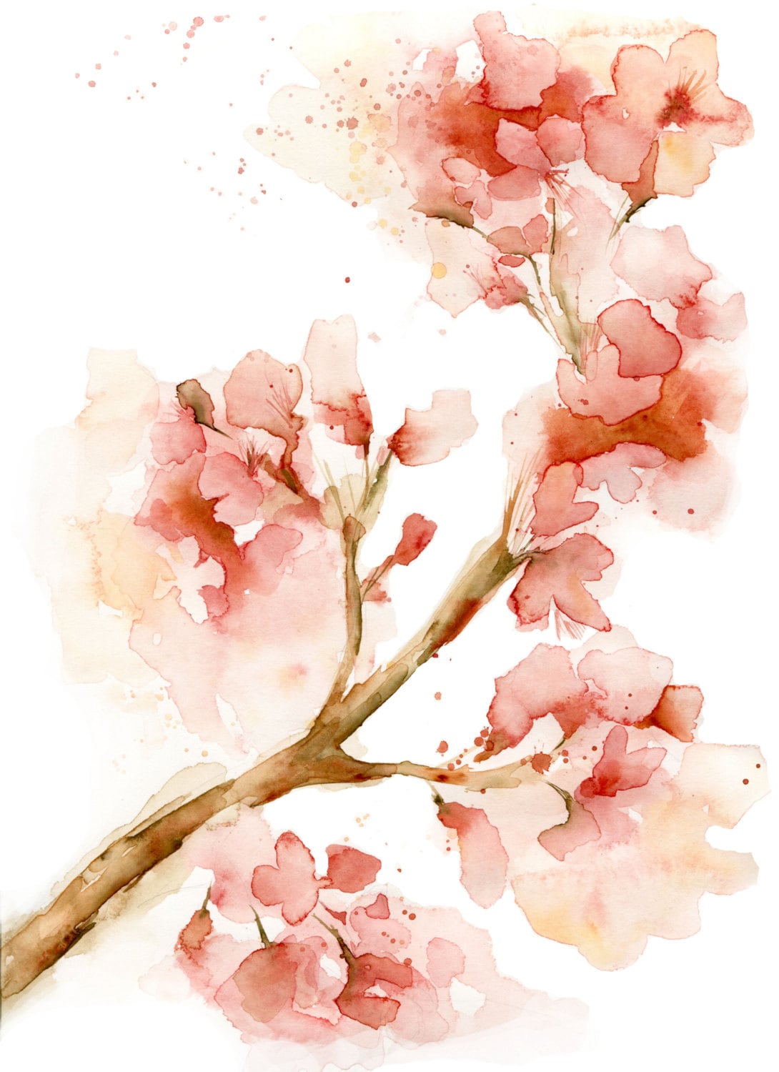 11x14 Cherry Blossom PRINT of my watercolor by TheDailyWatercolor