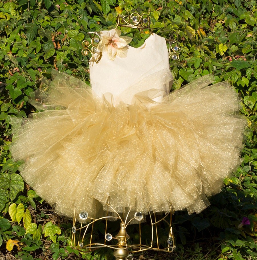 gold tutu for adults