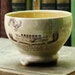 Soup Bowl - Absorbo Bowl